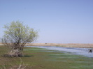 DSCF2880