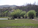 DSCF2887