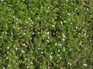 DSCF2889