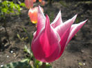 DSCN0857