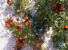 DSC02800