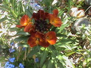 DSC02802