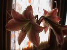DSC02824