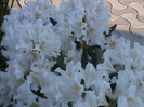 DSC02828