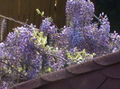 DSC02821
