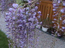 DSC02840