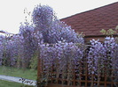 DSC02841
