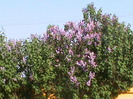 DSC02832