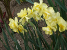 019