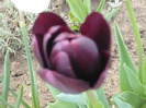 022