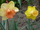 040