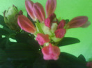 DSC04983