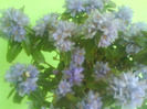 DSC04988
