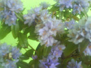DSC04990
