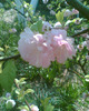 Picture 031