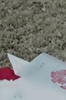 sofi_004
