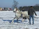 DSCF5140