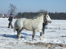 DSCF5141