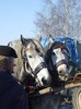 DSCF5183