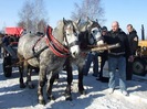 DSCF5184