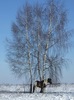 DSCF5214