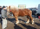 DSCF5270