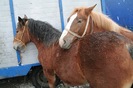IMG_3185