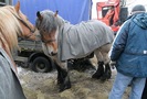 IMG_3187a