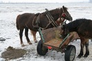 IMG_3262