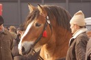 Obraz 264