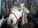 PIC_0009