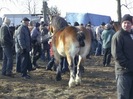 PIC_0012