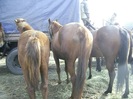 PIC_0048