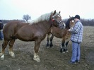PIC_0085