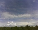 IMG0962A