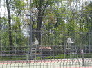 IMG_3511