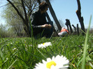 25 aprilie 2011 056