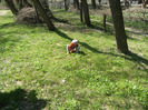25 aprilie 2011 060