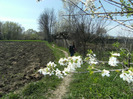 25 aprilie 2011 090