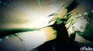 bscap0464