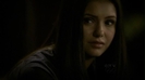 elena-elena-gilbert-20338057-548-309