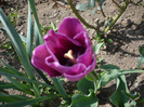 016
