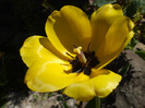 DSCF7477