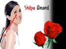 Shilpa Anand Wallpaper Created By Me 2