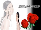 Shilpa Anand Wallpaper Created By Me 5