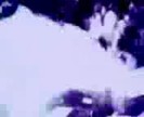 bscap0127