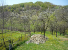 la bunicu' in curte 23 aprilie 2011