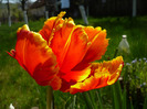 23 aprilie 2011