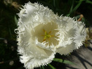 23 aprilie 2011