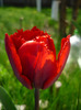 23 aprilie 2011